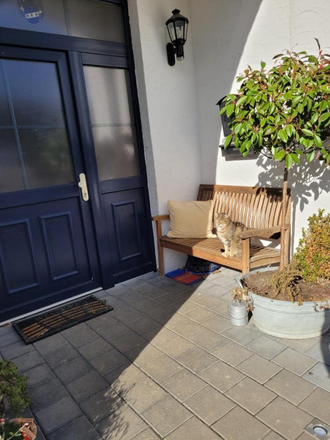 Ferienappartment Mit Schlafzimmer Farschweiler Exterior foto